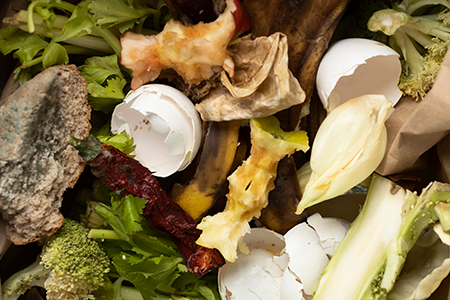 biodéchets erreurs de tri SITTOM MI