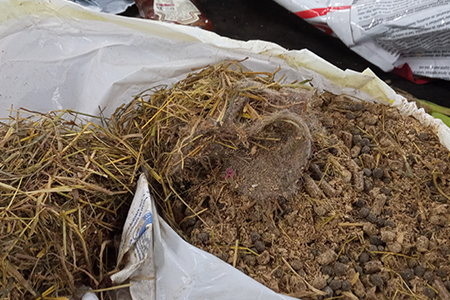 litiere animale erreurs de tri SITTOM MI